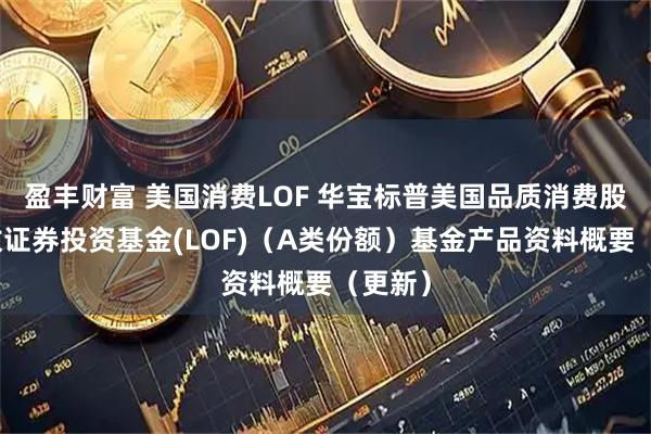 盈丰财富 美国消费LOF 华宝标普美国品质消费股票指数证券投资基金(LOF)（A类份额）基金产品资料概要（更新）