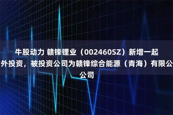 牛股动力 赣锋锂业（002460SZ）新增一起对外投资，被投资公司为赣锋综合能源（青海）有限公司